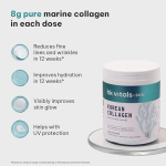 Korean Marine Collagen Supplement