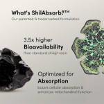 Pure Himalayan Shilajit Gummies