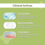 Ceramide Barrier Repair Moisturizer