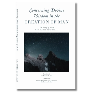 Divine Wisdom in the Creation