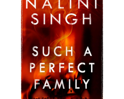 Such a Perfect Family Book