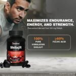 Himalaya Shilajit Capsule