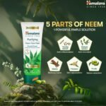 Himalaya Purifying Neem Face Wash