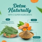 Himalaya Herbals Purifying Neem Pack, 100g - Image 2