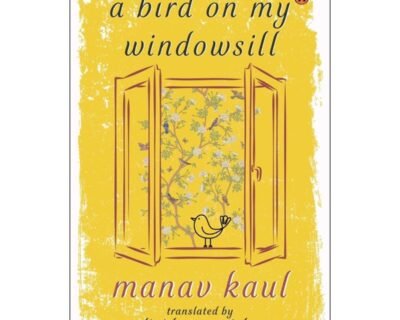 A Bird on My Windowsill