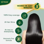 Streax Insta Shampoo Hair Colour