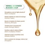 Niconi Herbal Hair Oil