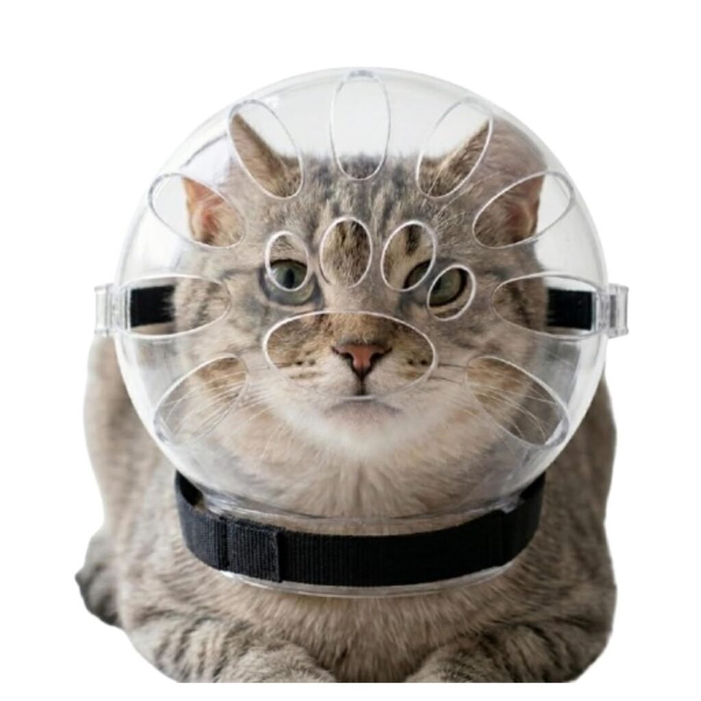 Large Cat Transparent Muzzle