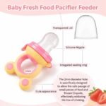 Baby Fruit Feeder Pacifier