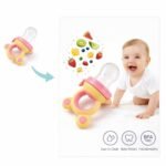 Baby Fruit Feeder Pacifier