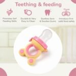 Baby Fruit Feeder Pacifier