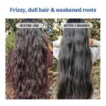 Vilvah Goat Milk Shampoo for Men & Women - 250ml - Image 4
