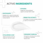 DERMATOUCH Niacinamide 4% SPF 50 PA++++ Sunscreen Lotion 200ml - Image 2