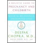 Magical Beginnings Enchanted Lives Book