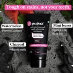 Perfora Activated Charcoal
