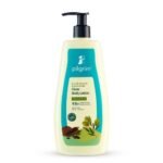 Pilgrim French Red Vine