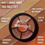 INSIGHT Pro Concealer