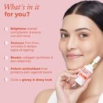 The Pink Foundry 15% Vitamin C Face Birghtening Serum