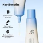 Beauty of Joseon Relief Sun Aqua