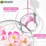 Garnier Skin Naturals Sheet Mask