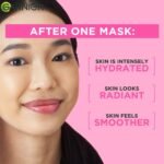 Garnier Skin Naturals Sheet Mask