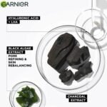 Garnier Black Serum Mask
